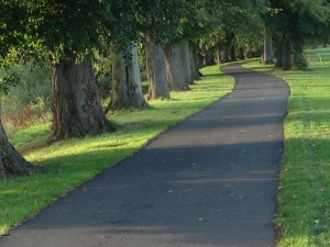 New Insights Discovery copy