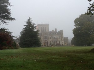 Insights from the morning