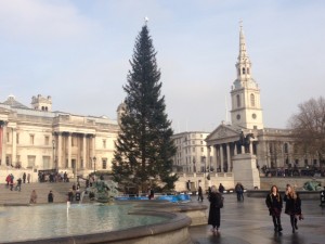 Trafalgar Sq Tree