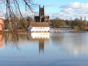 Cricket Flood