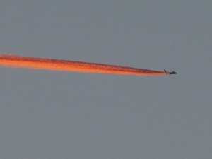 The unexpected discovery